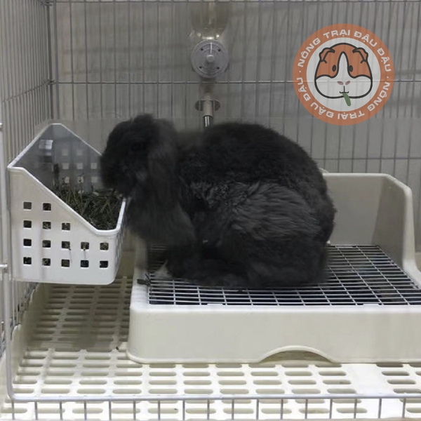 Máng Cỏ Khô Cho Bọ Ú, Thỏ, Chinchilla Khay Cỏ Tiện Lợi, Sức Chứa Lớn