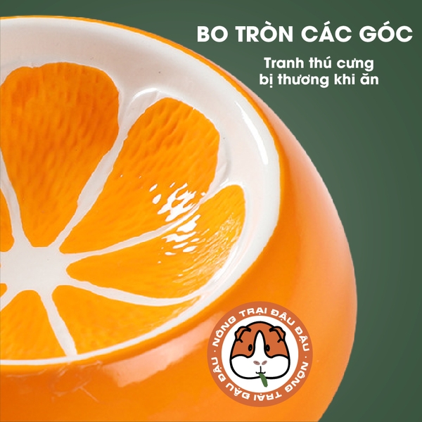 Chén Ăn Sứ Chống Lật Cho Thỏ, Bọ Ú, Chinchilla Hình Trái Cây Dễ Thương