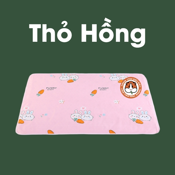 Thảm Tã Thấm Hút Cho Thỏ, Bọ Ú (Chuột Lang) Pee Pads