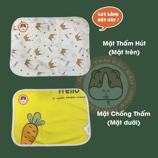Thảm Tã Thấm Hút Cho Thỏ, Bọ Ú (Chuột Lang) Pee Pads
