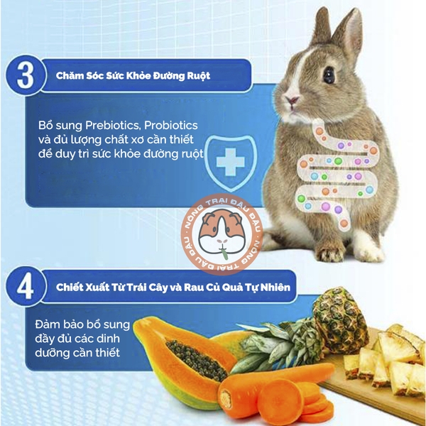 Bột Cỏ Phục Hồi Sức Khoẻ Khẩn Cấp Cho Thỏ, Bọ Ú, Chinchilla DrBunny Procare DR359 150g
