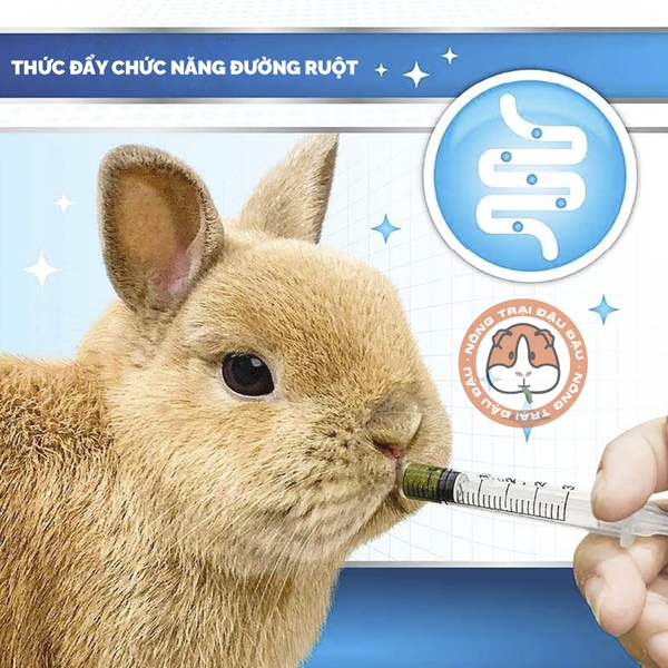 Bột Cỏ Phục Hồi Sức Khoẻ Khẩn Cấp Cho Thỏ, Bọ Ú, Chinchilla DrBunny Procare DR359 150g