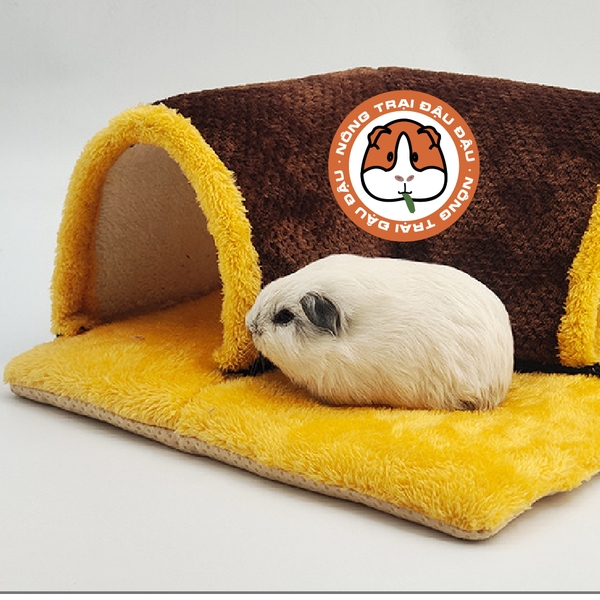 Hầm Chui Cho Bọ Ú Chuột Lang, Hamster Hầm Chui Chữ L
