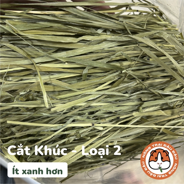 Cỏ Timothy Sấy Lạnh Cho Thỏ, Bọ Ú, Chinchilla Nguyên Cành Siêu Xanh Lá Mềm 480g 980g