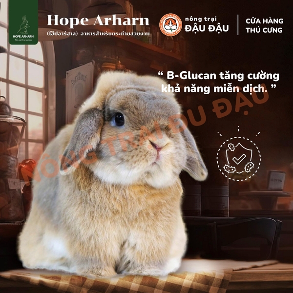Cỏ Nén Hope Arharn Cho Thỏ