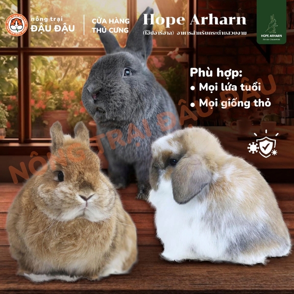 Cỏ Nén Hope Arharn Cho Thỏ