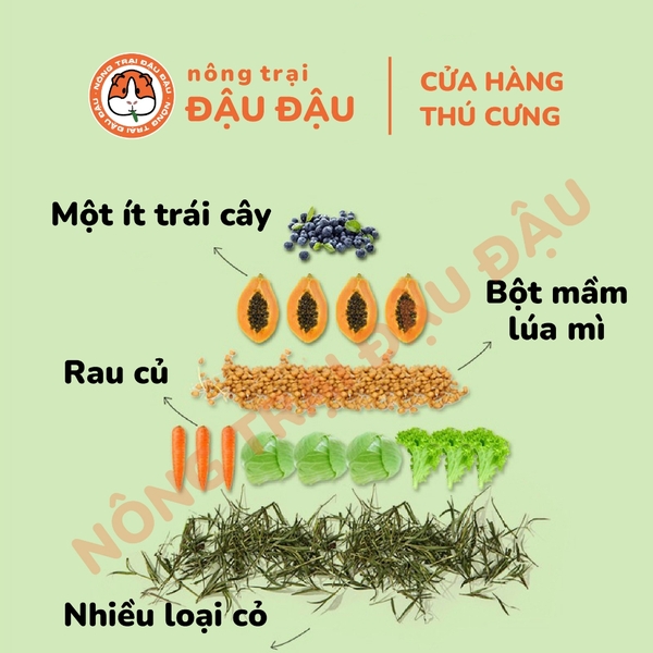 Cỏ Nén Yee Cho Bọ Ú Chuột Lang Hạt Phồng Giàu Chất Xơ 1kg