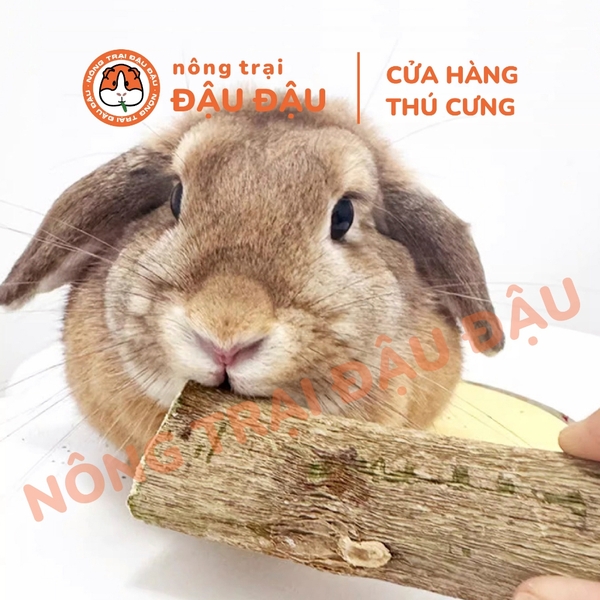 Cây Đu Đủ Sấy Khô Cho Thỏ, Bọ Ú, Chinchilla, Hamster Mài Răng