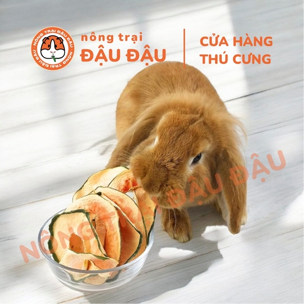 Đu Đủ Sấy Khô Ăn Vặt Cho Thỏ, Bọ Ú, Chinchilla Ăn Vặt Thơm Ngon 50g