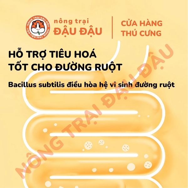 Cỏ Nén Yee Cho Bọ Ú Chứa 30% Chất Xơ & Vitamin C 2.5kg