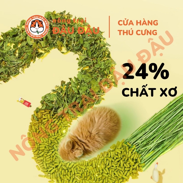 Cỏ Nén Cho Thỏ Yee Hạt Phồng Energetic 90% Thành Phần Từ Cỏ 1kg