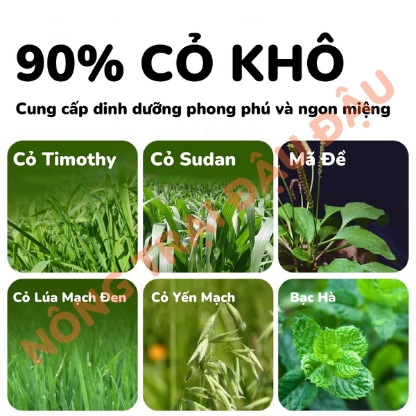 Cỏ Nén Cho Thỏ Yee Hạt Phồng Energetic 90% Thành Phần Từ Cỏ 1kg