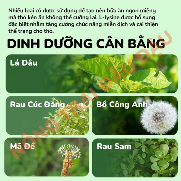 Cỏ Nén Cho Thỏ Yee Thảo Mộc 2,5kg