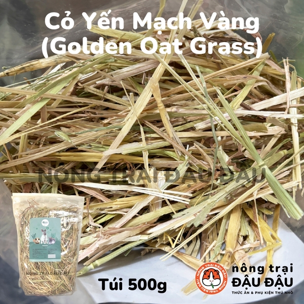 Cỏ Timothy Sấy Lạnh Cho Thỏ, Bọ Ú, Chinchilla Nguyên Cành Siêu Xanh Lá Mềm 480g 980g