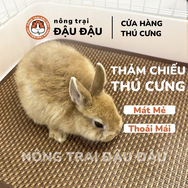 Thảm Cho Thỏ, Bọ Ú, Chó, Mèo, Thú Nhỏ Thảm Chiều Mát Phù Hợp Mọi Mùa