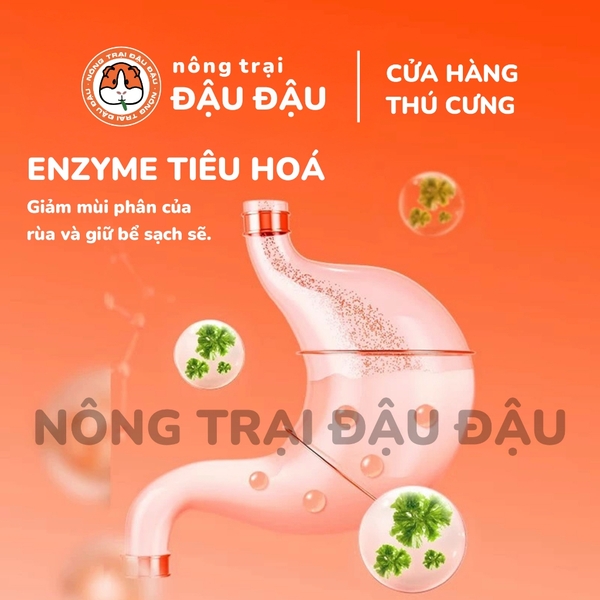 Thức Ăn Cho Rùa Giàu Dinh Dưỡng Cám Cho Rùa 42% Protein Hộp 100g