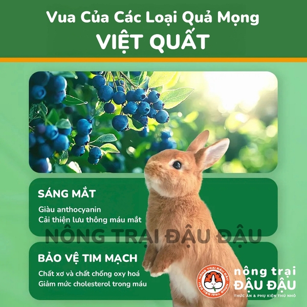 Cỏ Nén Cho Thỏ Mr.Hay Bổ Sung Quả Mọng 800g