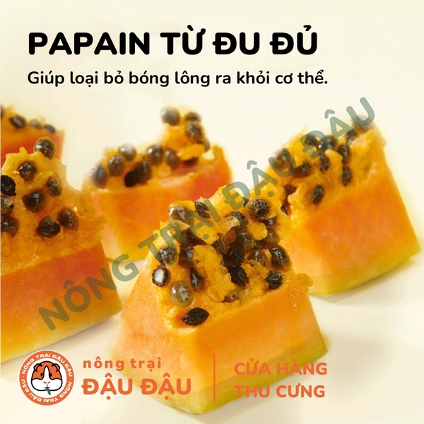 Viên Bổ Sung Đu Đủ Dứa Tiêu Búi Lông Cho Thỏ Yee Hộp 40g