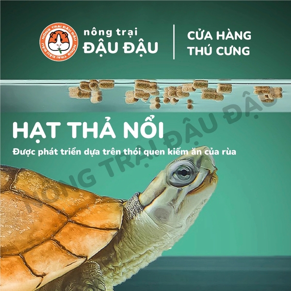 Thức Ăn Cho Rùa Yee Giàu Protein Phát Triển Vượt Trội
