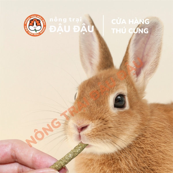 Bánh Cỏ Sợi Yee Cho Thỏ, Bọ Ú, Chinchilla 85% Thành Phần Từ Cỏ 280g