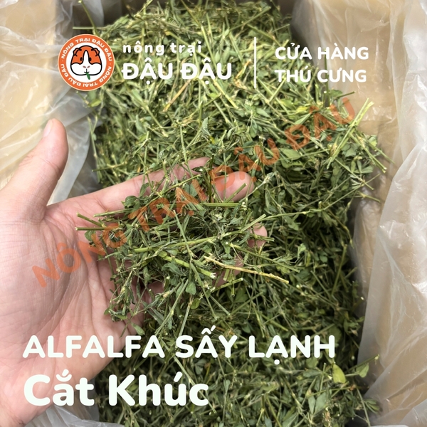 Cỏ Alfalfa Sấy Lạnh - Đậu Đậu Fresh Select