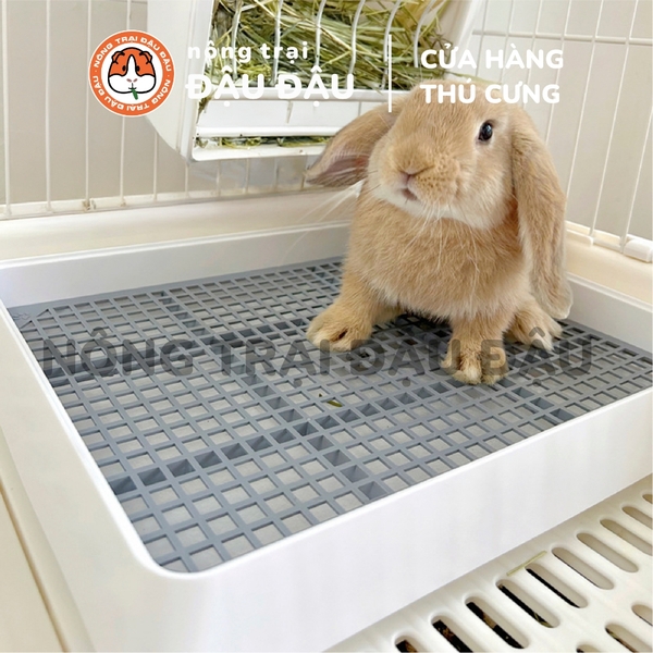 Khay Vệ Sinh Cho Bọ Ú, Chuột Lang, Thỏ Tiện Lợi Kích Thước Lớn