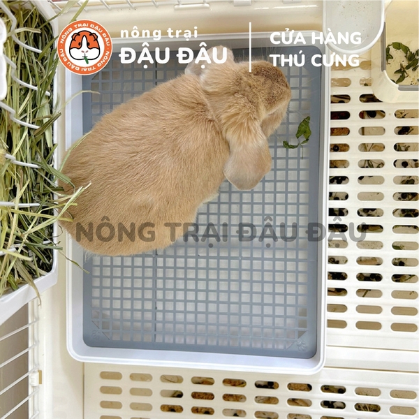 Khay Vệ Sinh Cho Bọ Ú, Chuột Lang, Thỏ Tiện Lợi Kích Thước Lớn