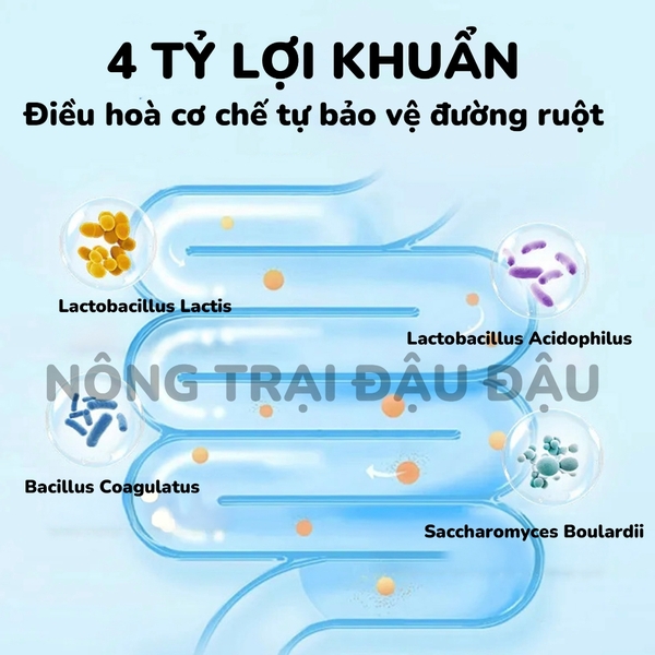Cỏ Nén Pronutri Vitamin C 800g