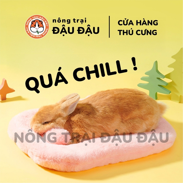 Đệm Bông Yee