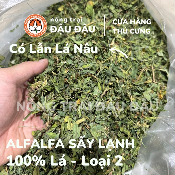 Cỏ Alfalfa 100% Lá Cho Thỏ, Bọ Ú, Chinchilla Không Bụi