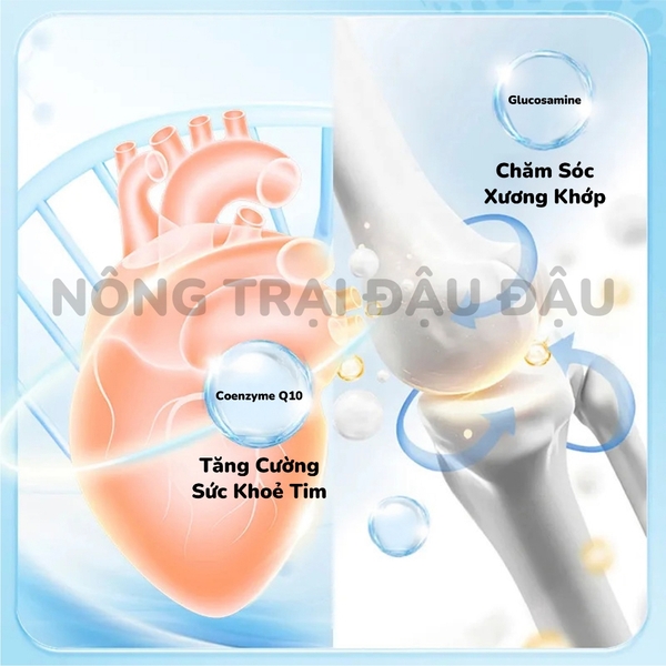 Cỏ Nén Pronutri Thỏ Già