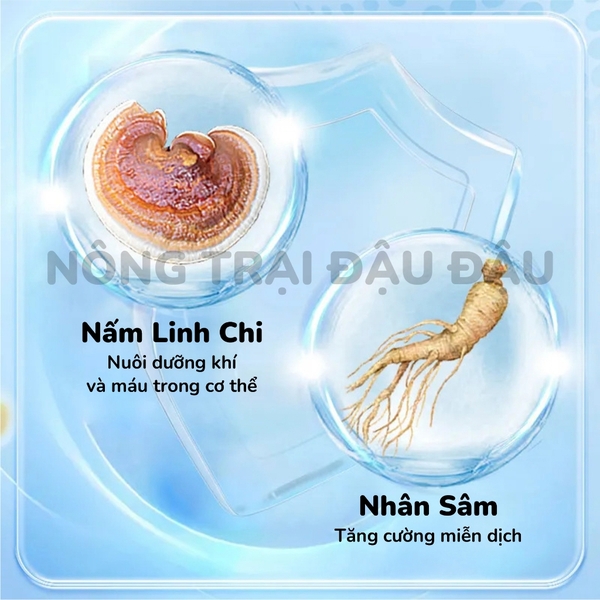 Cỏ Nén Pronutri Thỏ Già