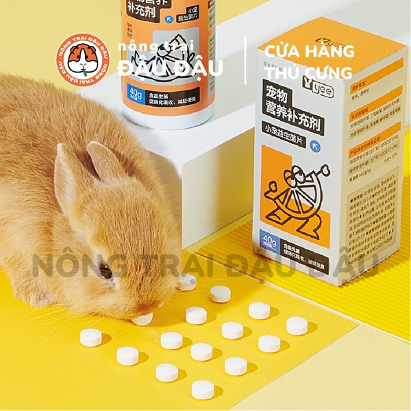Viên Hỗ Trợ Tiêu Hoá Yee Cho Thỏ, Bọ Ú, Chinchilla Thúc Đẩy Tiêu Hoá, Giảm Mùi Hôi Phân Hộp 40g