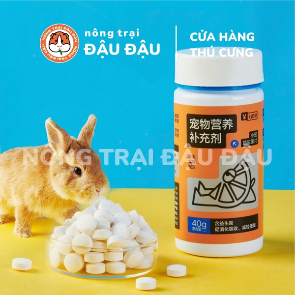 Viên Hỗ Trợ Tiêu Hoá Yee Cho Thỏ, Bọ Ú, Chinchilla Thúc Đẩy Tiêu Hoá, Giảm Mùi Hôi Phân Hộp 40g