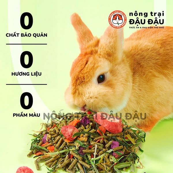 Cỏ Nén Cho Thỏ Yee Trái Cây Rau Củ