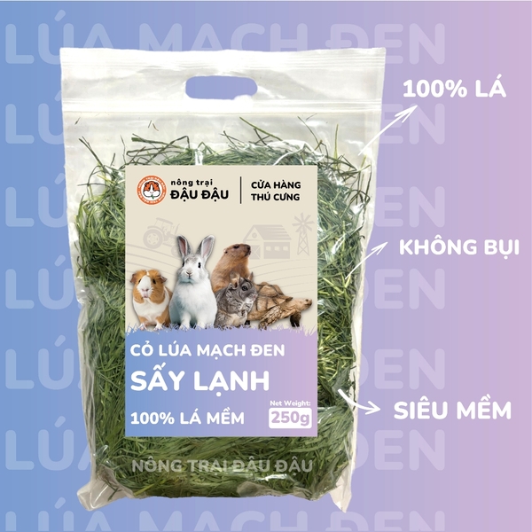Cỏ Lúa Mạch Đen Cho Thỏ, Bọ Ú, Chinchilla Ăn Vặt Thơm Ngon 250g