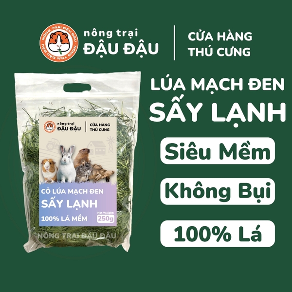 Cỏ Lúa Mạch Đen Cho Thỏ, Bọ Ú, Chinchilla Ăn Vặt Thơm Ngon 250g