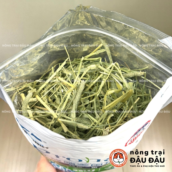 Cỏ Timothy Cho Thỏ, Bọ Ú, Chinchilla Bổ Sung Axit Lactic Prohay 500g Dr366