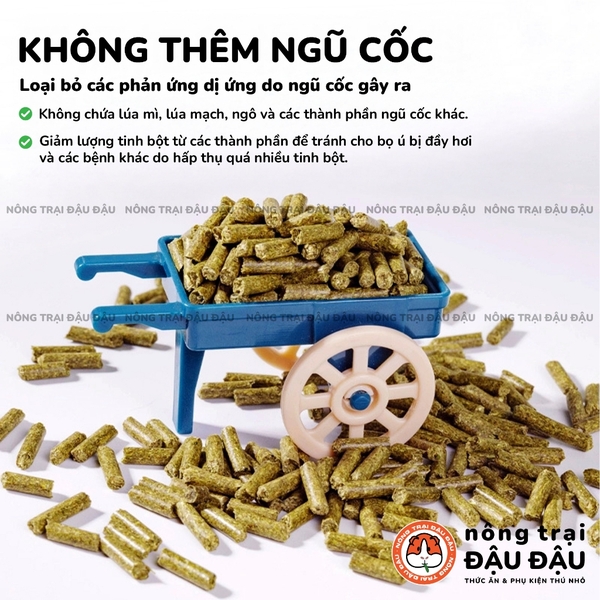 Cỏ Nén Timothy Cho Bọ Ú Chuột Lang Niu Chong Giàu Chất Xơ Bổ Sung Việt Quất 800g