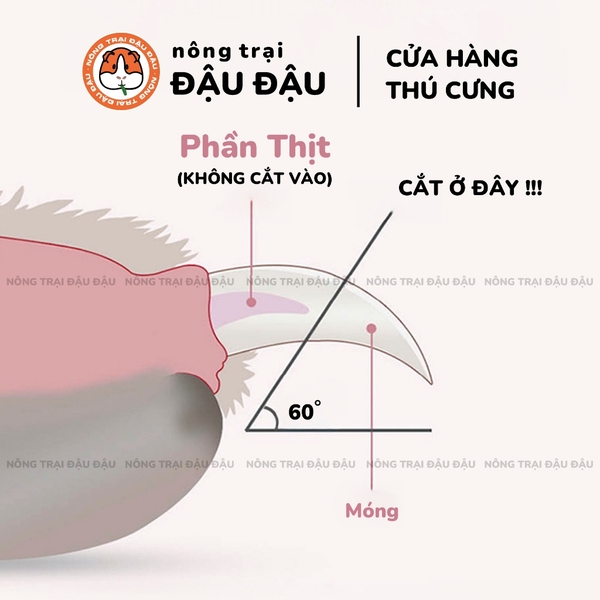 Kìm Cắt Móng Kéo Cắt Móng Cho Thỏ, Bọ Ú, Chó, Mèo Có Đèn Led