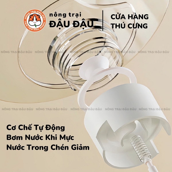 Bình Nước Tự Động Cho Thỏ, Bọ Ú, Chó, Mèo Tiện Lợi Dung Tích Lớn