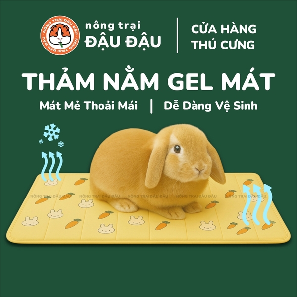 Thảm Mát Cho Thỏ, Bọ Ú, Chó, Mèo, Thú Cưng Mát Mẻ Thoải Mái