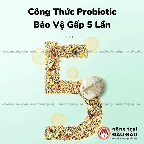 Thức Ăn Hamster Yee Ngũ Cốc Nguyên Hạt Bổ Sung Probiotics 500g