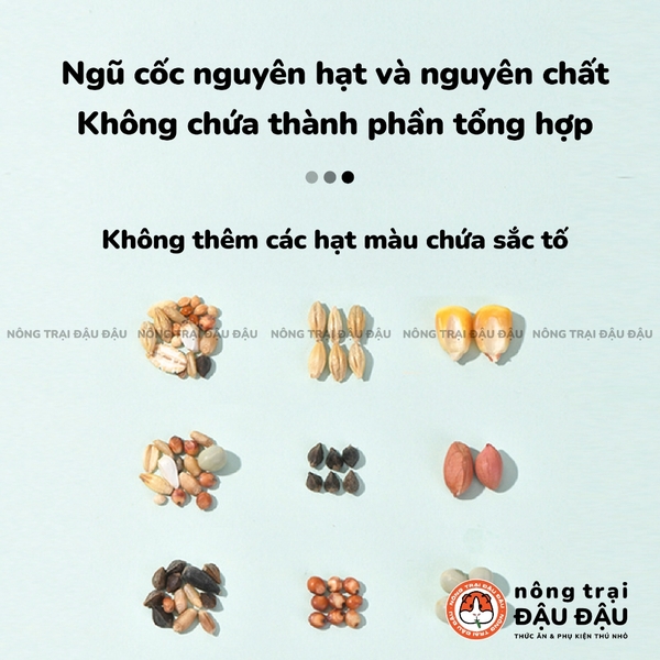 Thức Ăn Hamster Yee Ngũ Cốc Nguyên Hạt Bổ Sung Probiotics 500g