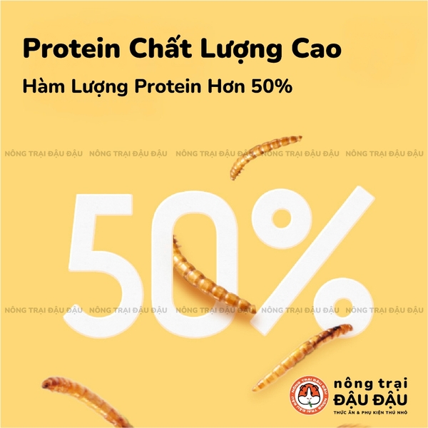 Sâu Sấy Yee - Hộp 110g