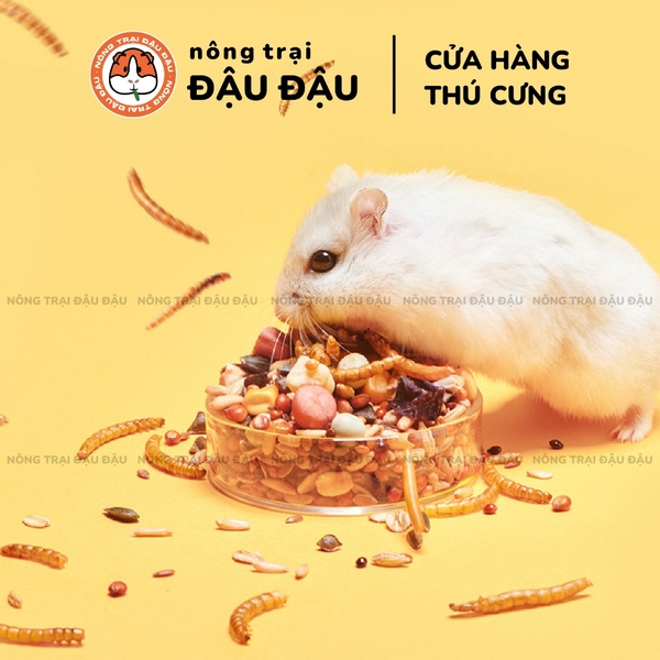 Sâu Sấy Yee - Hộp 110g