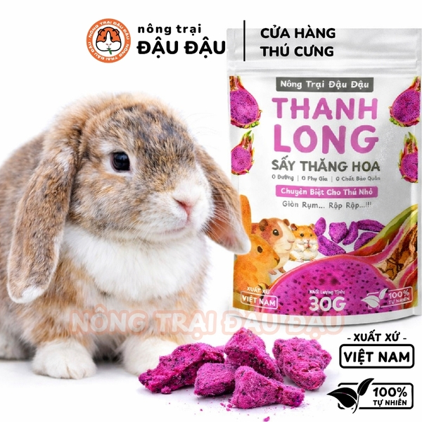 Thanh Long Sấy Cho Bọ Ú, Thỏ, Hamster, Chinchilla Thanh Long Sấy Thăng Hoa Ăn Vặt Cho Thú Nhỏ 30g