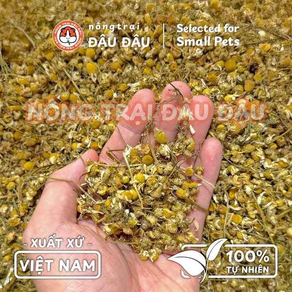 Hoa Cúc La Mã Sấy Lạnh Cho Thỏ, Bọ Ú, Chinchilla, Hamster Hoa Khô Ăn Vặt 20g