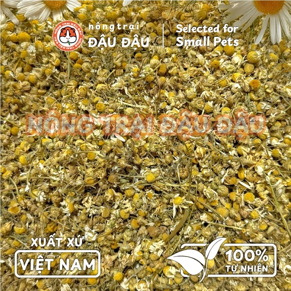 Hoa Cúc La Mã Sấy Lạnh Cho Thỏ, Bọ Ú, Chinchilla, Hamster Hoa Khô Ăn Vặt 20g