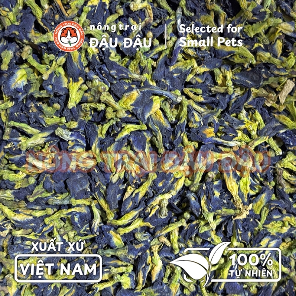 Hoa Đậu Biếc Sấy Lạnh Cho Thỏ, Bọ Ú, Hamster, Chinchilla Hoa Khô Ăn Vặt 20g
